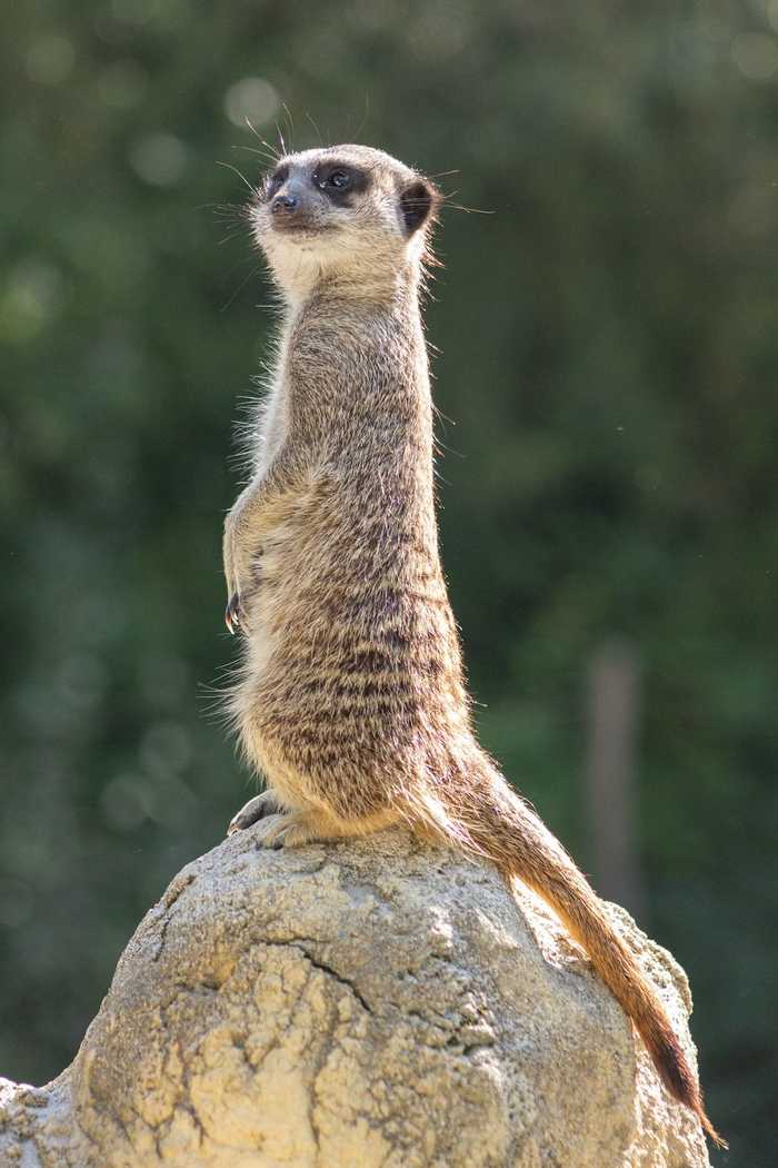 Transitioning into CyberSecurity